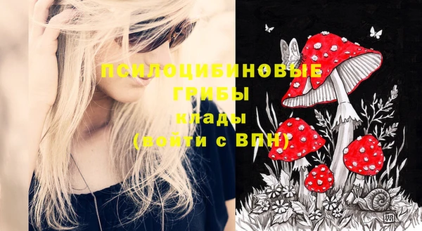 мяу мяу мука Верхний Тагил
