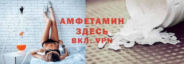 прущие грибы Верея