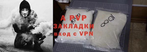 прущие грибы Верея