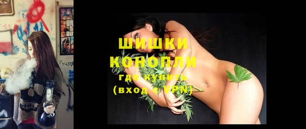 прущие грибы Верея