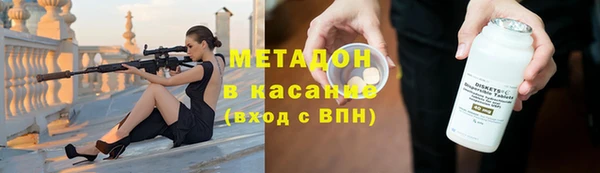 прущие грибы Верея