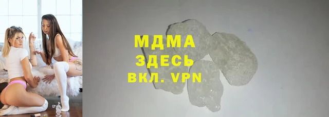 прущие грибы Верея