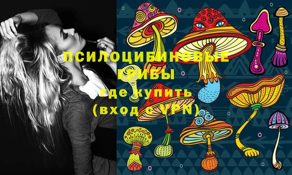 прущие грибы Верея
