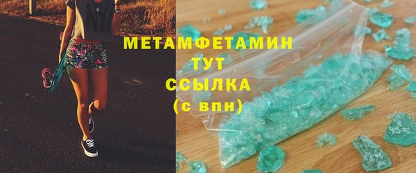 прущие грибы Верея