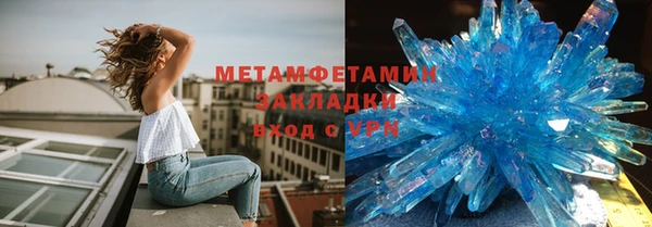 прущие грибы Верея